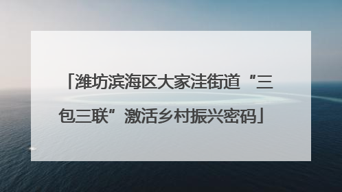 潍坊滨海区大家洼街道“三包三联”激活乡村振兴密码