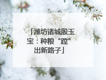 潍坊诸城殷玉宝：种粮“蹚”出新路子