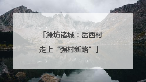 潍坊诸城：岳西村走上“强村新路”