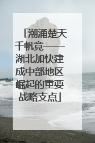 潮涌楚天千帆竞——湖北加快建成中部地区崛起的重要战略支点