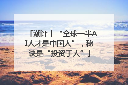 潮评丨“全球一半AI人才是中国人”，秘诀是“投资于人”
