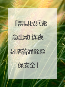 澧县民兵紧急出动 连夜封堵管涌除险保安全