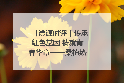 澧源时评｜传承红色基因 铸就青春华章——桑植热土上的青春长征