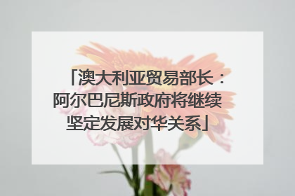 澳大利亚贸易部长：阿尔巴尼斯政府将继续坚定发展对华关系