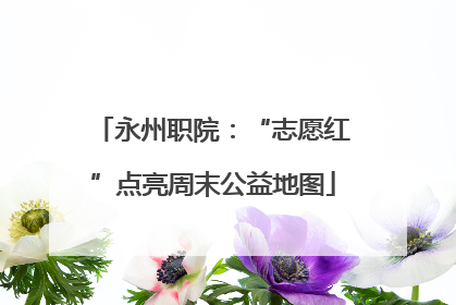 永州职院：“志愿红”点亮周末公益地图