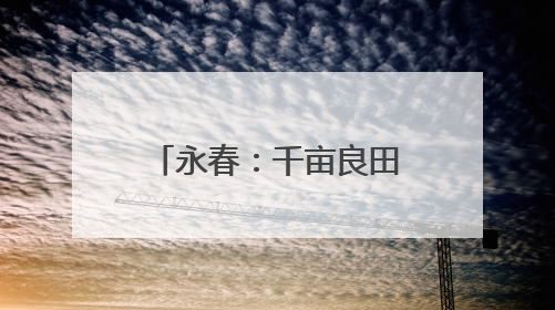 永春：千亩良田筑根基 产业融合绘“丰”景