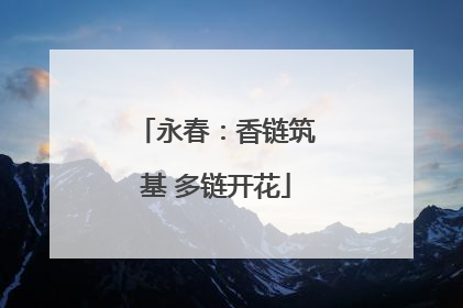 永春：香链筑基 多链开花