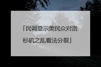 民调显示美民众对洛杉矶之乱看法分裂