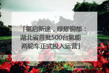 氢启新途，绿耀铜都：湖北省首批500台氢能两轮车正式投入运营