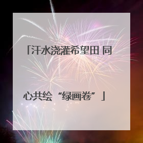汗水浇灌希望田 同心共绘“绿画卷”