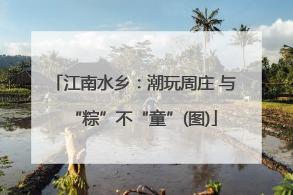 江南水乡：潮玩周庄 与“粽”不“童”(图)