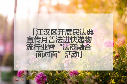 江汉区开展民法典宣传月普法进快递物流行业暨“法商融合面对面”活动