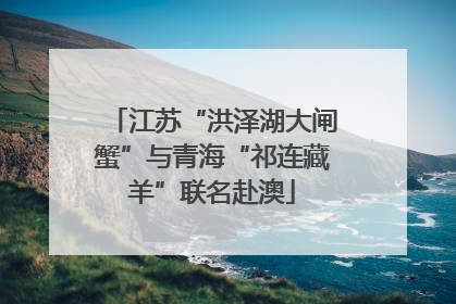 江苏“洪泽湖大闸蟹”与青海“祁连藏羊”联名赴澳