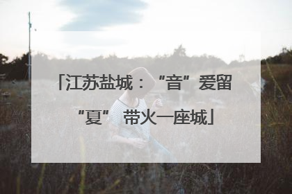 江苏盐城：“音”爱留“夏” 带火一座城