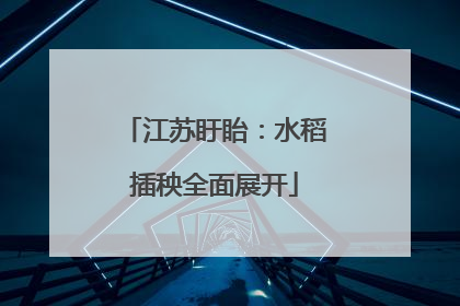 江苏盱眙：水稻插秧全面展开