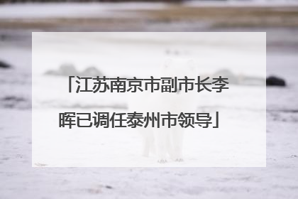 江苏南京市副市长李晖已调任泰州市领导