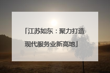 江苏如东：聚力打造现代服务业新高地