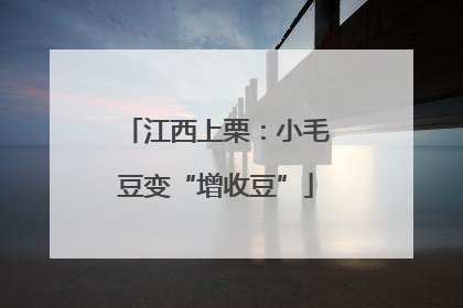 江西上栗：小毛豆变“增收豆”