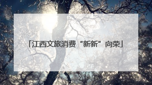 江西文旅消费“新新”向荣