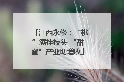 江西永修：“桃”满挂枝头 “甜蜜”产业助增收
