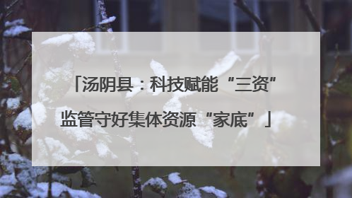 汤阴县：科技赋能“三资”监管守好集体资源“家底”