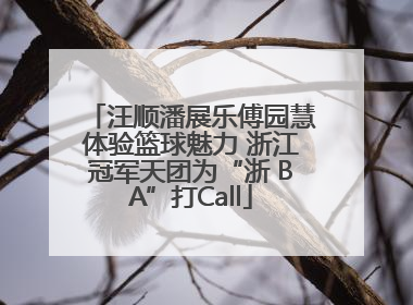 汪顺潘展乐傅园慧体验篮球魅力 浙江冠军天团为“浙 BA”打Call