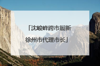 沈峻峰跨市履新徐州市代理市长