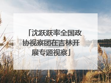沈跃跃率全国政协视察团在吉林开展专题视察