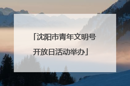 沈阳市青年文明号开放日活动举办