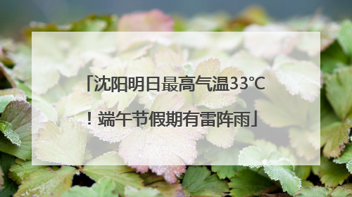 沈阳明日最高气温33℃！端午节假期有雷阵雨