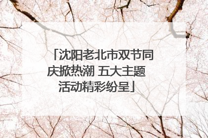 沈阳老北市双节同庆掀热潮 五大主题活动精彩纷呈
