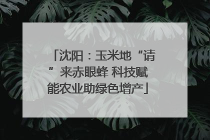 沈阳：玉米地“请”来赤眼蜂 科技赋能农业助绿色增产
