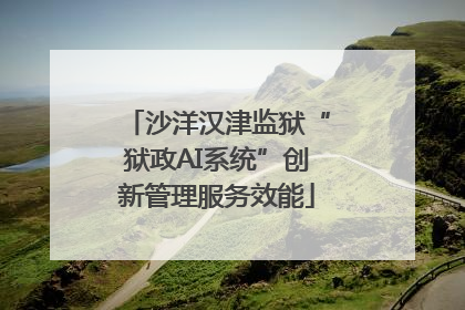 沙洋汉津监狱“狱政AI系统”创新管理服务效能