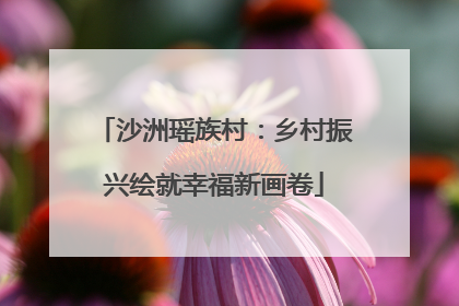 沙洲瑶族村：乡村振兴绘就幸福新画卷
