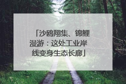 沙鸥翔集、锦鲤漫游：这处工业岸线变身生态长廊