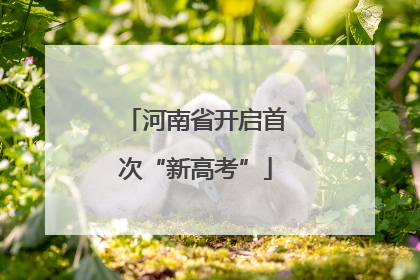 河南省开启首次“新高考”