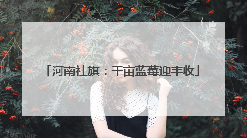 河南社旗：千亩蓝莓迎丰收