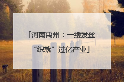 河南禹州：一缕发丝“织就”过亿产业