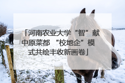 河南农业大学“智”献中原菜都 “校地企”模式共绘丰收新画卷