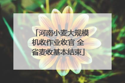 河南小麦大规模机收作业收官 全省麦收基本结束