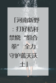 河南新野：打好秸秆禁烧“组合拳” 全力守护蓝天沃土