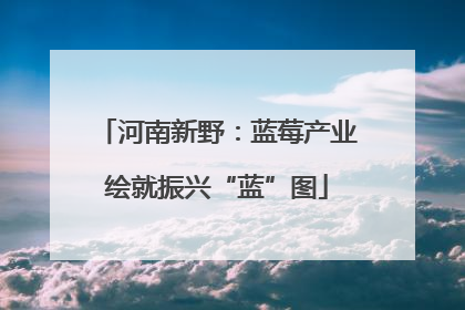 河南新野：蓝莓产业绘就振兴“蓝”图