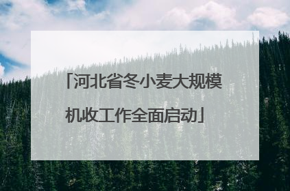 河北省冬小麦大规模机收工作全面启动