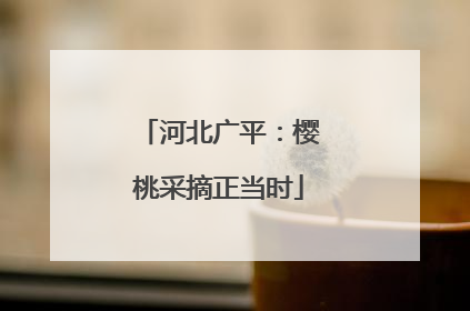 河北广平：樱桃采摘正当时