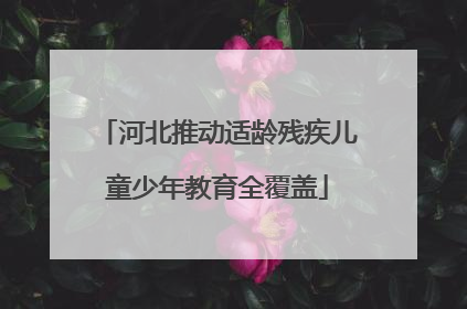 河北推动适龄残疾儿童少年教育全覆盖