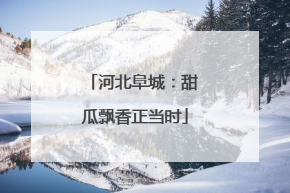 河北阜城：甜瓜飘香正当时