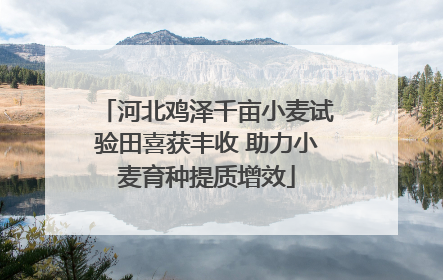 河北鸡泽千亩小麦试验田喜获丰收 助力小麦育种提质增效