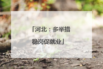 河北：多举措稳岗促就业