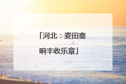 河北：麦田奏响丰收乐章