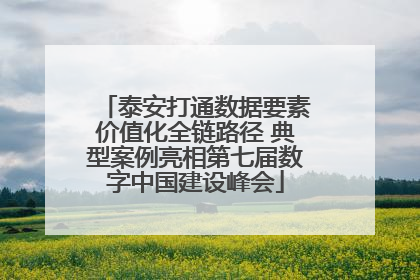泰安打通数据要素价值化全链路径 典型案例亮相第七届数字中国建设峰会